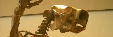 PSU Grad Students' Darwin Day Petition